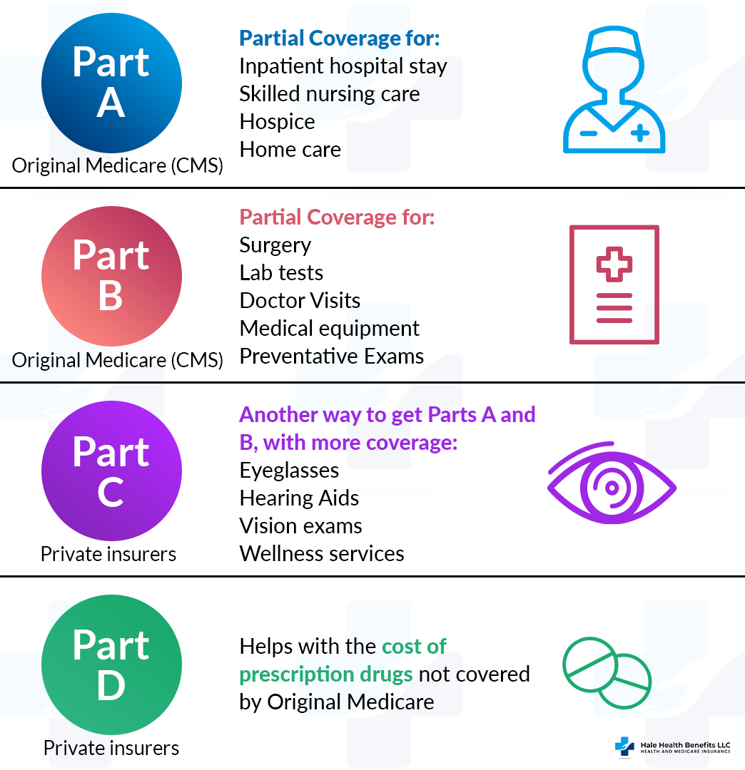 Medicare Explained Parts of Medicare Hale Health Benefits